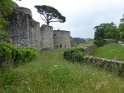 2015-05-31 Clisson-Chateau Goulaine